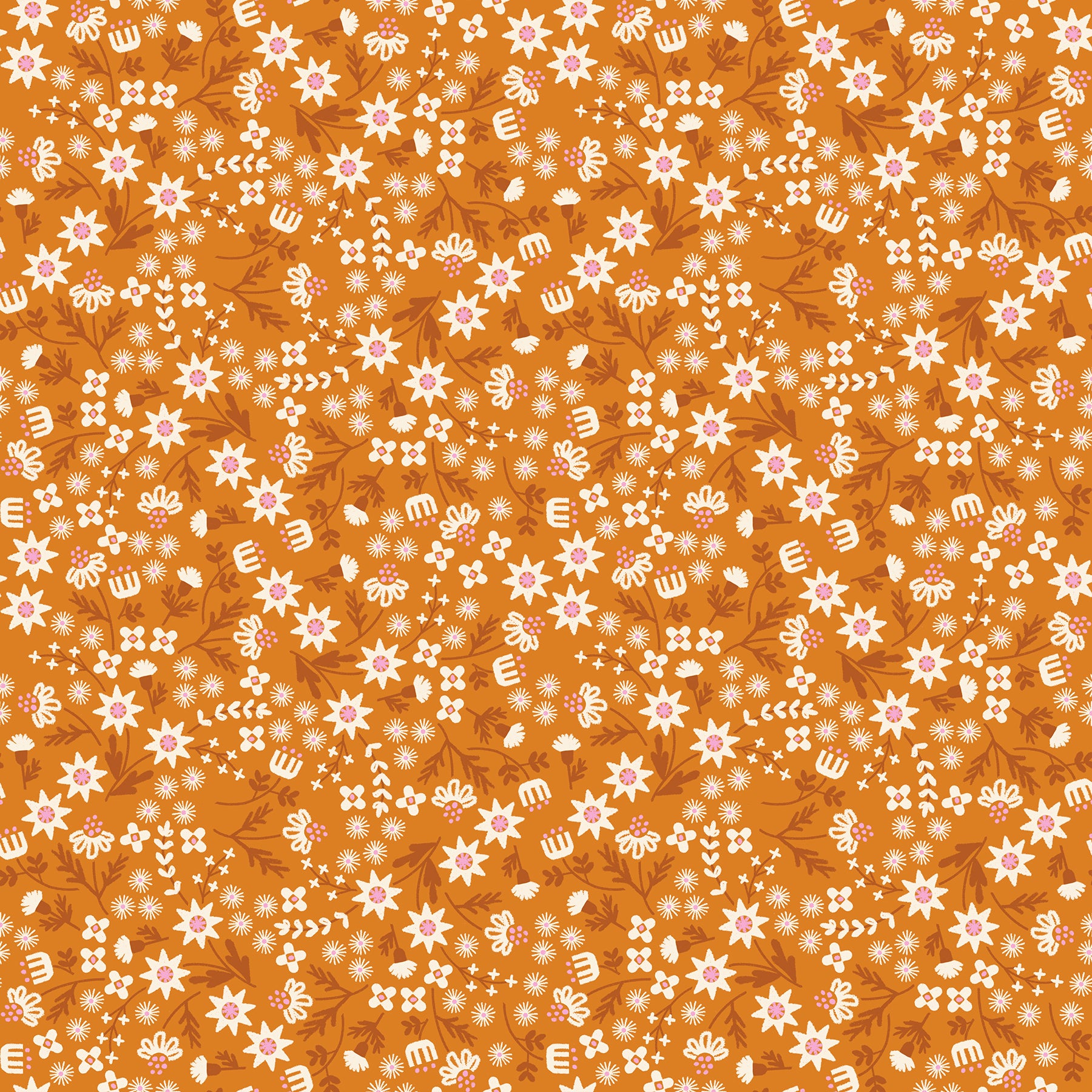Inflorescence Tumeric - Favorite Flowers